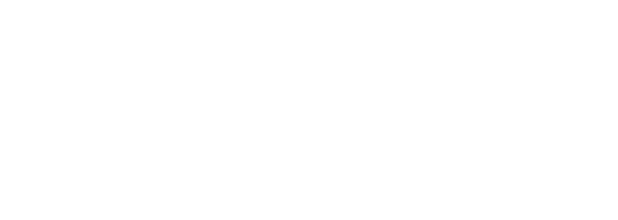VIP Logo White